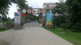 郑钦文1-2不敌萨巴伦卡，获武网女单亚军