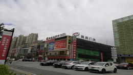林诗栋不敌张本智和，获亚锦赛男单亚军