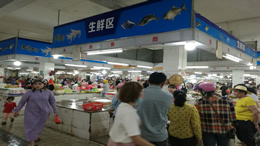 一点资讯