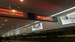 林诗栋不敌张本智和，获亚锦赛男单亚军