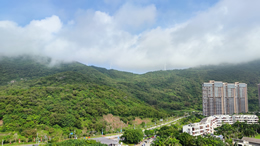 琼州海峡客滚船舶定于7月21日上午9：00时全线停运