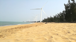 海南信息港