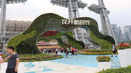 海口娱乐网科技