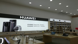 陕西汽车网
