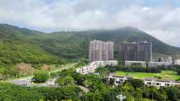 东方汽车网